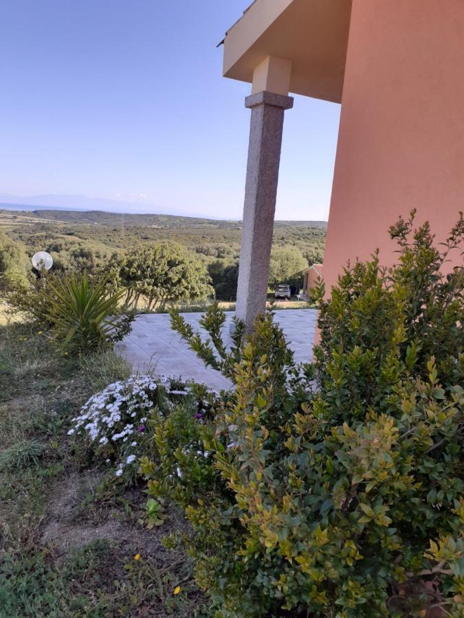 Agriturismo Gli Olivastri Appartamento Raggio Di Sole , Con Piscina E Vista Mare ,Climatizzatore,Wifi Aglientu Exterior foto