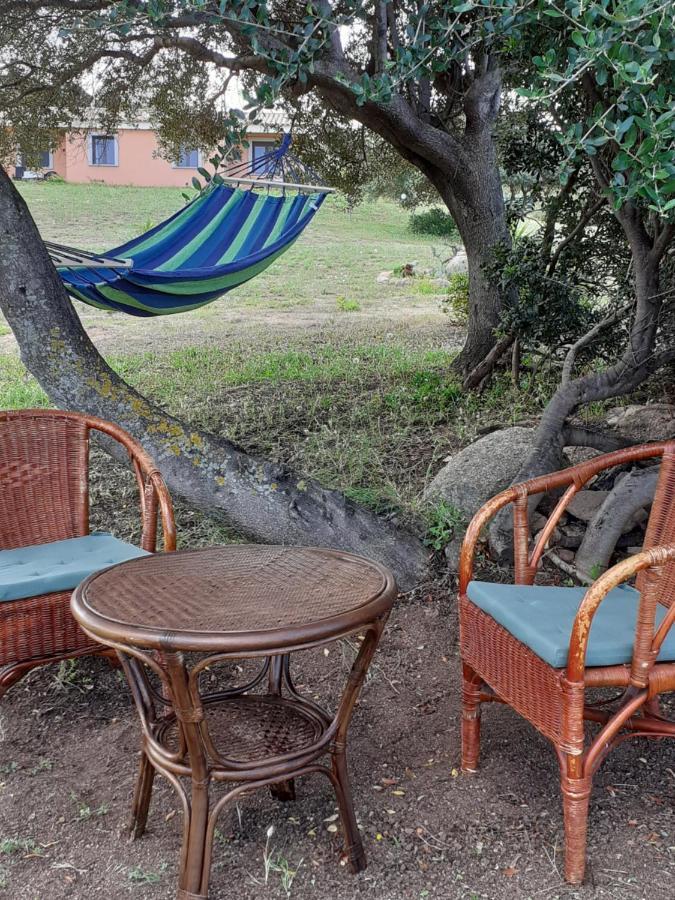 Agriturismo Gli Olivastri Appartamento Raggio Di Sole , Con Piscina E Vista Mare ,Climatizzatore,Wifi Aglientu Exterior foto
