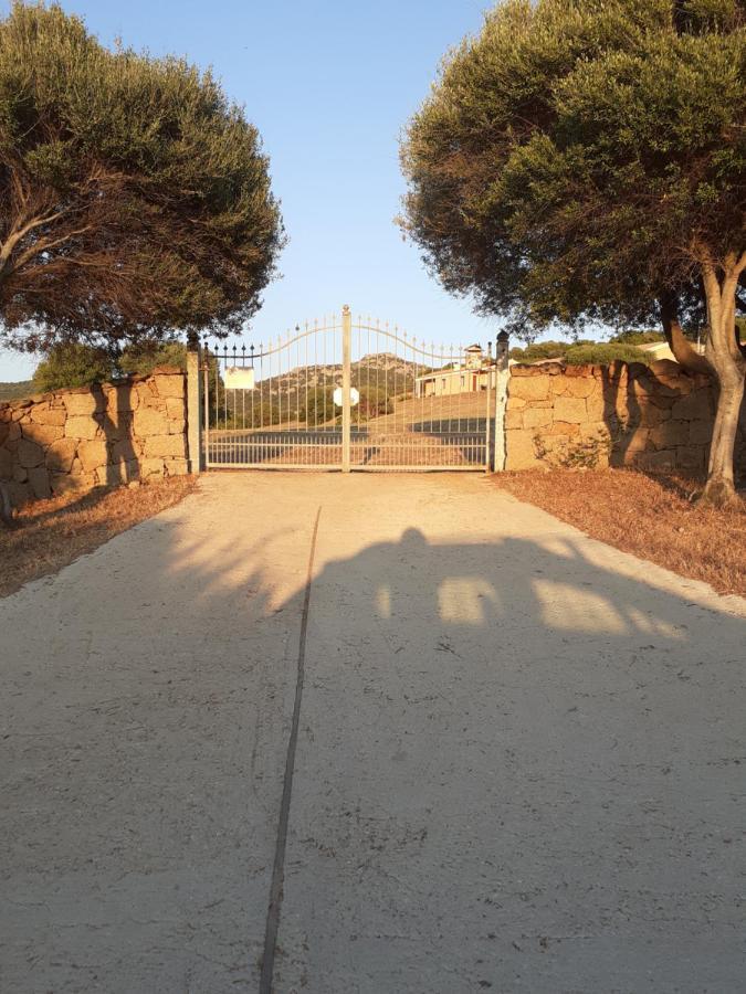 Agriturismo Gli Olivastri Appartamento Raggio Di Sole , Con Piscina E Vista Mare ,Climatizzatore,Wifi Aglientu Exterior foto